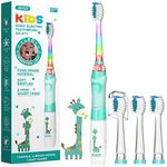 Seago SG977 Kids Electric Toothbrushes Age 3+ Years Toddler Childrens Battery Toothbrush with Timer Colorful Flashing Light 4 Dupont Brush Heads for Childs Boys Girls Waterproof Deep Clean (Green)