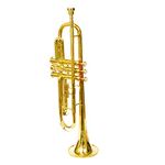 Skylark Musicals Special Shinning Brass Polish for Marching Concert Band Trumpet with Hard Case and 7c Mouth Piece