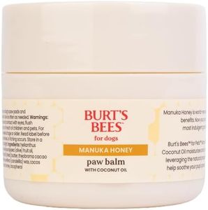 BURT'S BEES FOR PETS Paw Balm for Dogs with Manuka Honey and Coconut Oil, Soothes Dry Dog Paws, Naturally Derived Ingredients, 1.76 Oz