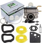 partszen 753-06258A 753-06258 RY252CS Carburetor for Ryobi RY253SS RY254BC 2 Cycle 25cc Gas String Trimmer Carb with Fuel Line Kit