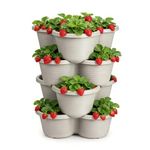 Shoyisenka 4 Tier Stackable Strawberry Planter, Vertical Garden Tower with Drainage Mat, Space Saving Planter for Strawberries, Herbs, Flowers, Vegetables, Indoor, Outdoor Use