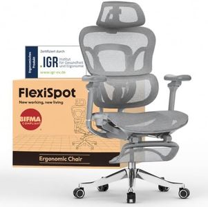 FLEXISPOT 