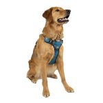 Embark Pets Adventure Dog Harness, No Pull Dog Harness with 2 Leash Clips, Dog Harness for Large Dogs anti pull dog harness Front & Back with Control Handle, Adjustable, Soft & Padded Puppy Harness