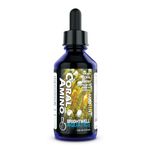 Brightwell Aquatics CoralAmino - Complex of Amino Acids for Corals - Coral Food for Aquarium Coral Growth - Saltwater Aquarium Treatments, 4.22 fl oz