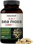 Irish Sea Moss Capsules, 3,000mg Per Serving, 240 Veggie Pills | Made with Organic Raw Powder, Plus Bladderwrack & Burdock Root, Sea Vegetable Complex – Immune & Thyroid Superfood Support – Non-GMO