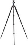 Benro Travel Angel AL Series 2 Tripod Kit, 4 Section, Twist Lock, B1 Head, Monopod Conversion