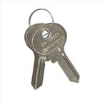 Salsbury Industries 33329 Key Blanks Box for Padlocks of Designer Lockers (Pack of 50)