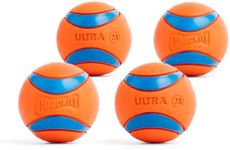 Chuckit! Ultra Ball Dog Toy - Mediu