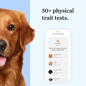 Wisdom Panel Dog DNA Test – Breed & Health Screening Kit