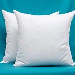 Set of 2, 24 x 24 Inches Cotton Fabric Square Pillow Inserts, Down and Feather Decorative Throw Pillows Inserts