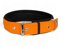AIK India Dog Collar for Large Dogs, Soft Padded Dog Belt Neck Collar, Dog Belt for Large Dogs Labrador, Golden Retriever, Pitbull, German Shepherd, Husky, Doberman (Orange, L)