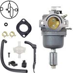 ZAMDOE Carburetor for Briggs & Stratton 287707 287776 287777 310707 310777 14.5 hp ohv Engine Models 698620 690194 791886 799727 496796 499153 695412 792768 Carb