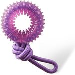 Outward Hound 2-in-1 Dental Chew Wheel Dog Chew Toy and Tug Toy, Purple