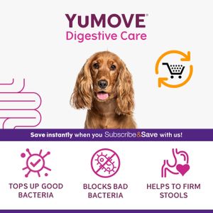 YuMOVE Dog Probiotics Tablets – 120 Count Digestive Supplement