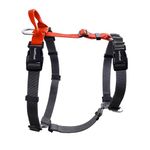 LufeLux Easy Walk Freedom No Pull Dog Harness Medium Sized, Neck-Buckle, Six Points Adjustment for Ultimate Fit, Two Aluminum D-Rings for Back and Front Clip, Easy Put On/Off (Orange/Black, M)