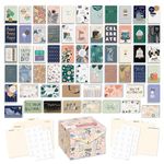 American Greetings All Occasion Deluxe Card Assortment with Envelopes and Storage Box(60-Count)