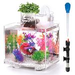 Luxury Fish Tanks