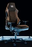 Apex Gaming Desk Adult Chair | Ergonomic Computer Desktop Seating | PU Leather Cover | Foam Padding | 4D Adjustable Arm Rests and Height | Rocking Gamer Seat | Built in Lumbar Support (Grey)