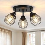 Light Fixture For Ceiling