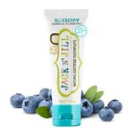 Jack N' Jill Kids Natural Toothpaste, Fluoride Free Toothpaste, Helps Soothe Gums and Fight Tooth Decay, Toothpaste for Baby, Toddler and Children 6 Months Plus Blueberry Flavour 1 x 50g