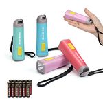 EverBrite 4-Pack Mini LED Plastic Flashlight, Kids Party Favors Torch Colors Assorted for Children Projector, Hurricane Supplies with Lanyard 3AAA Battery Included