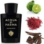 Acqua Di Parma Oud & Spice Eau De P