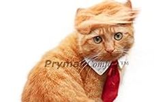 Prymal Comfort Cat/Dog Costume for 