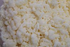 Milk Kefir Grains by Lifetime Kefir