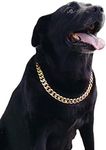 PP COLOR Gold Chain Dog Collar-3/4 