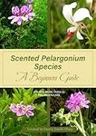 Scented Pelargonium Species-A begin