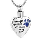 memorial jewelry No Longer by My Side,But Forever in My Heart Carved Locket Cremation Urn Necklace for Pet Dog Cats (Blue, Stainless-Steel)