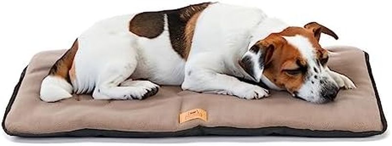 Ferplast Lit pour Chien Coussin pour Chien Taille Moyenne Tissu Double Face résistant aux Rayures et imperméable, Matelas Chaud pour Chien en Micropolaire Lavable 65 x 48 x 3,5 cm