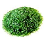 Astral Pool - (57011) 0.5-1.0Mm Active Glass for Sand Filter 25Kg - 57011-vetro