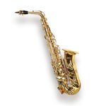 ARCTIC Alto Saxophone instrument with Case, Featuring a World-Class Finish And a Professional Setup, Designed for Musicians, Band Performers. Includes Mouthpiece, Reed, and Protective Case.