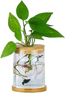 MMIAOO Hydroponic Plant Glass Container,Glass Mini Vase - Micro Landscape Ecological Bottle,Home Decoration Vase,for Water Plants or Flowers,Garden Wall Decoration (Cylinder, 10 * 12cm)