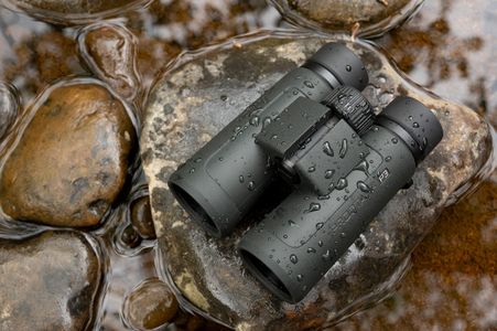 Nikon PROSTAFF P3 10x42 Binoculars – Waterproof, Fogproof