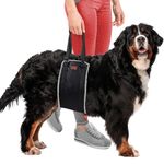 Back Harness For Dog