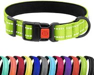 CollarDirect Reflective Padded Dog 