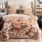 LGYKUMEG Heavy Korean Blanket King Size,Plush Fleece Mink Blanket,Fluffy Cozy Soft and Warm, 2 Ply Thick Raschel Printed Mink Blanket for Autumn,Winter,Bed and Sofa,H,79x91