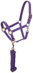 Tough 1 Neoprene Padded Halter with Antique Hardware Lead Set, Purple