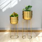 DECOR AVENUE Decorative Gold Planters with Round Stands for Indoor Plants | Electroplated Gold Metal Planters for Living Room Bedroom Balcony Home and Office | Set of 2