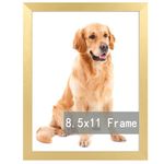 Gold 8.5 x 11 Frame Document Frame, Gallery Wall Frame Fits 8.5 x 11 Diplomas, Documents & Certificates, Picture Frame 11 x8.5, Diploma Frame Wall or Tabletop Display