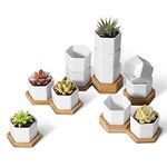 T4U Small White Succulent Planter Pots with Bamboo Tray Hexagon Set of 12, Geometric Cactus Plant Holder Container for Home Office Table Desk Decoration Gift for Mom Aunt Sisiter Daughter Gardener