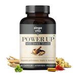 Zingavita Power Up Shilajit for Men with Swarn Bhasm | 100% Ayurvedic with 17 Herbs like Pure Original Shilajit/Shilajeet & Ashwagandha | For Stamina & Performance (60 Shilajit Gold Capsules)