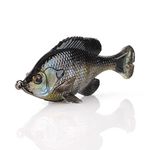 Savage Gear - Pulse Tail Bluegill 4" LB Ghost Gill