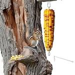Squirrel Feeder for Outside, Hangin