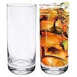 Iceten Highball Glasses Set of 2, Large Drinking Glasses Clear Glasses Tall Cocktail Glasses Large Beer Glass Pub Wine Glasses Juice Glasses, Glass Tumblers Set -Dishwasher Safe