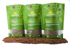 Mumm’s Sprouting Seeds – Spring Salad Mix - Large Share Pack – Certified Organic Seed – Non-GMO – High Germination – 3 x 250 g – Resealable Bag