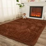 AMTOVO Shag Area Rugs for Living Ro