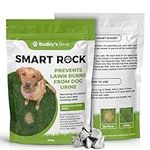 Buddy's Best 200g Smart Rocks: Natural Pet Water Purifier & Lawn Protector, Safe Mineral Solution for Dogs, Eliminates Nitrates & Ammonia, Promotes Green Grass